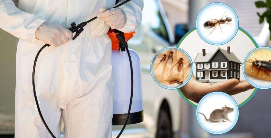 Harran Böcek İlaçlama