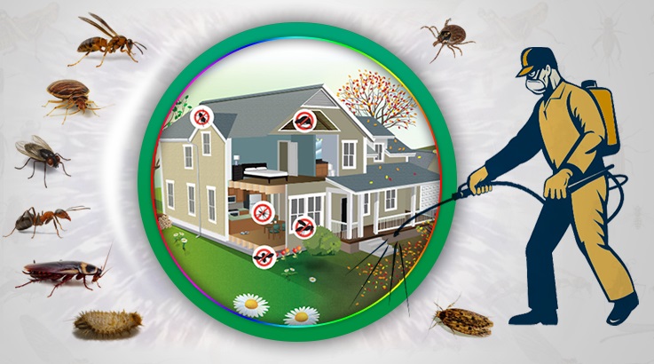 Harran Böcek İlaçlama