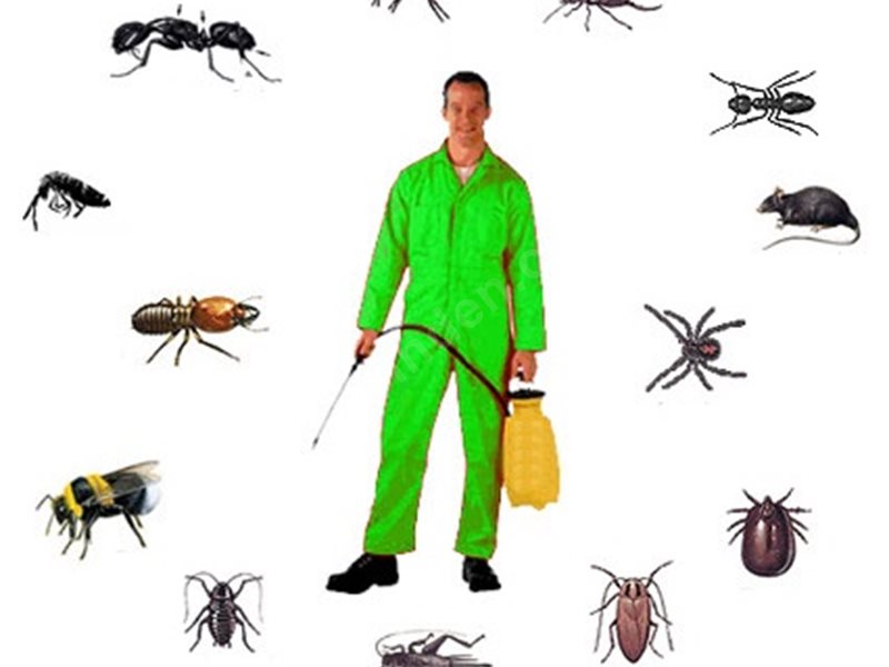 Harran Böcek İlaçlama